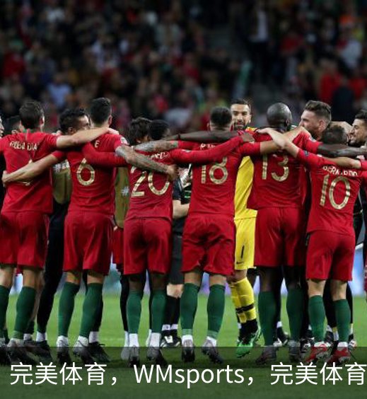 完美体育，WMsports，完美体育官方，完美体育平台，完美体育下载概况
